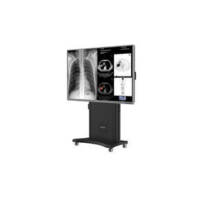 医用画像用モニター 1