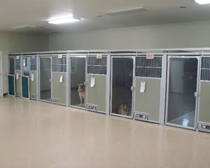 犬用動物用ケージ