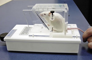 動物研究用無痛覚計