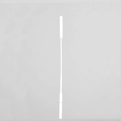 研究所用スワブ - TSM03 - OÜ InterVacTechnology - サンプル回収用 / 新型コロナウイルス感染症の検査用 / SARS-CoV-2