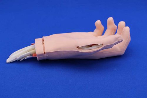 医療訓練用シミュレーター - HANDACT - Créaplast - 手術用 / 手の