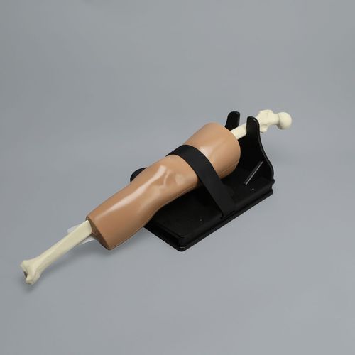 医療訓練用シミュレーター - ALICE Knee - Sawbones/Pacific Research Labs - 評価 / 一般的な治療用 / 解剖学