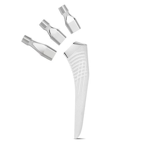セメントレス大腿骨ステム - NAOS® Mod - X-NOV Medical Technology