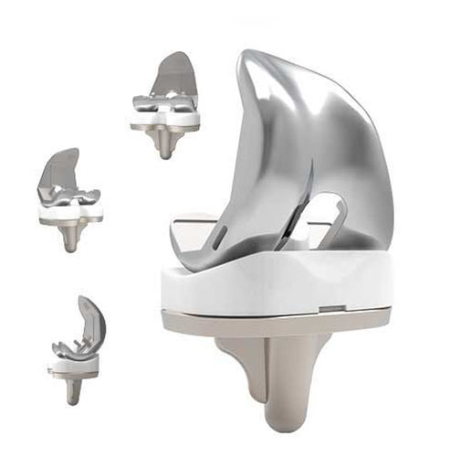 全人工膝関節置換術用人工膝関節 - Rhino® - South America Implants