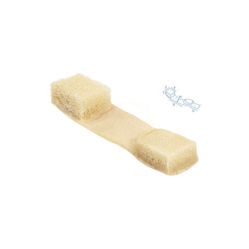 膝蓋靭帯靭帯プロテ－ゼ - 890 - Bone Bank Allografts - 脛骨筋腱 / 同種移植