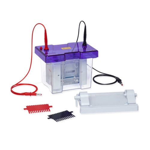 プロテイン用電気泳動システム - VS10 - Cleaver Scientific - 縦型 / 卓上