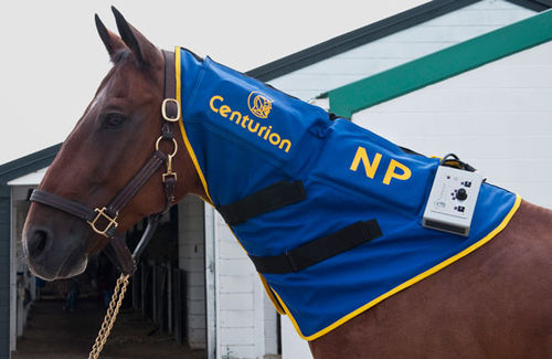 ウマ科磁気療法装置 - Neck Piece - Centurion Systems - 着用型