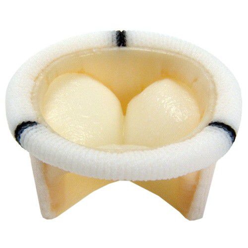 三尖弁用生体弁 - 8316 - Braile Biomedica - 肺 / 僧帽弁用 / 大動脈弁用