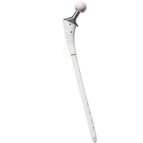再置換大腿骨ステム - TTHR® - Biotechni - セメントレス