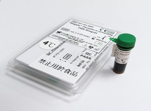 アルファシヌクレイン用試薬 - MF-PS1-0060 - MagQu Co., Ltd. - 抗体 / 免疫分析用 / 鉄