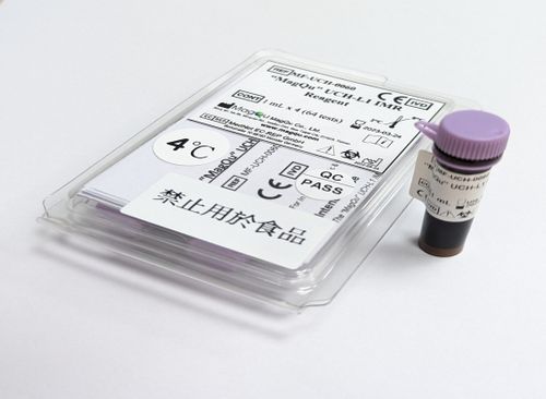 酵素試薬 - MF-UCH-0060 - MagQu Co., Ltd. - 研究用 / 診断用