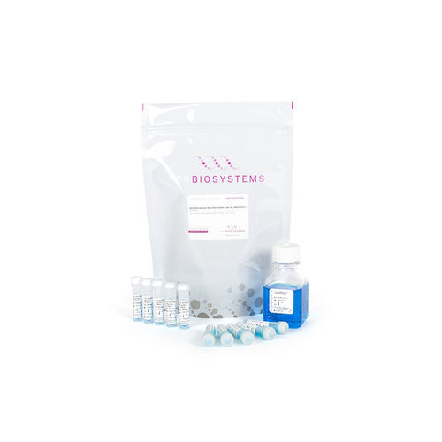 染料試薬キット - qPCRBIO SyGreen Blue Mix - PCR Biosystems Ltd. - 核酸 / リアルタイムqPCR / ホットスタート