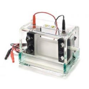 卓上電気泳動チャンバー - P8-1010-NG - Gel Company