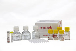 癌用検査キット - MagMeDIP - Diagenode - 遺伝子用 / 血漿用 / セル