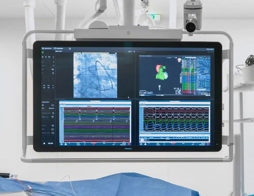 可視化ソフト - ORIS - Ditec Medical - 医療用 / 4K解像度