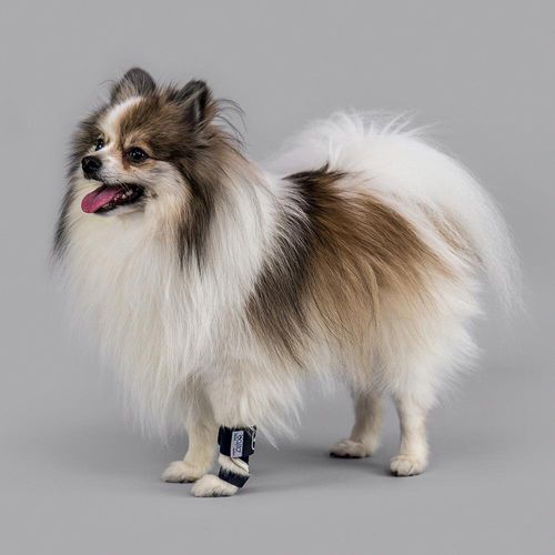 足用動物用スプリント - Balto® - KVP EU Ltd