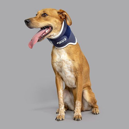 犬用動物頚部カラー - Balto® Neck - KVP EU Ltd - マジックテープ付 / 調整可能