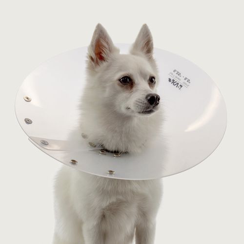 犬用動物用エリザベスカラー - Saf-T-Shield™ - KVP EU Ltd - 透明 / ポリエチレン