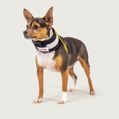 犬用動物頚部カラー - BiteNot™ - KVP EU Ltd - 調整可能