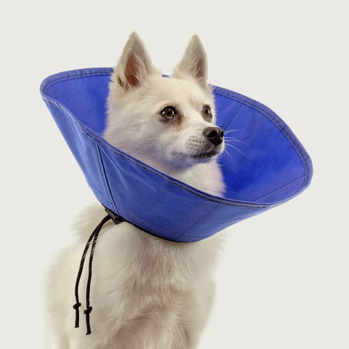 犬動物用エリザベスカラー - EZ Soft™ - KVP EU Ltd - 調整可能 / 洗える