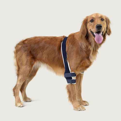 リハビリテーションスリング - Balto® Soft - KVP EU Ltd - 獣医用
