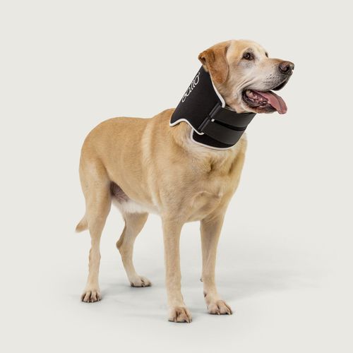 犬用動物頚部カラー - Balto® Neck Eco - KVP EU Ltd - マジックテープ付 / 洗える
