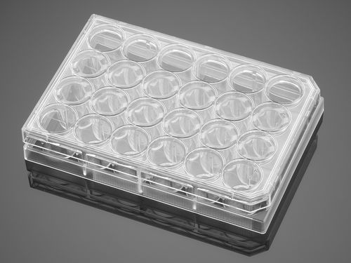 ライフサイエンス用マイクロプレート - BioCoat®  - Corning BV - 24ウェル / セル / 表面用