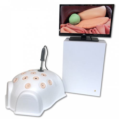 低侵襲手術シミュレーター - T12-HD - 3-Dmed - 腹腔鏡検査用 / モニター / ワークステーション