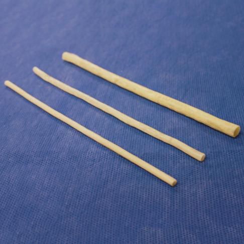 伏在静脈の解剖模型 - 3-Dmed - 心臓の / 心臓 / 胸部大動脈の
