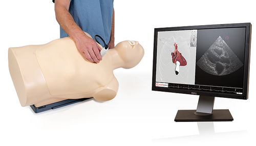 心臓超音波検査用シミュレーター - TTE - Inventive Medical Limited - 胴体の / コンピューター制御式
