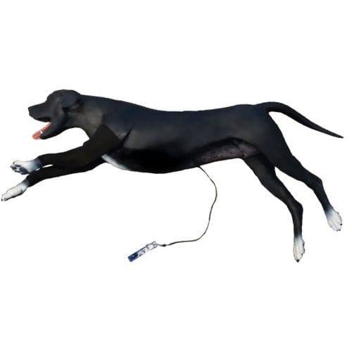 一次救命処置用シミュレーター - Veterinary Simulator Industries - 包帯用 / カテーテル / 静脈穿刺