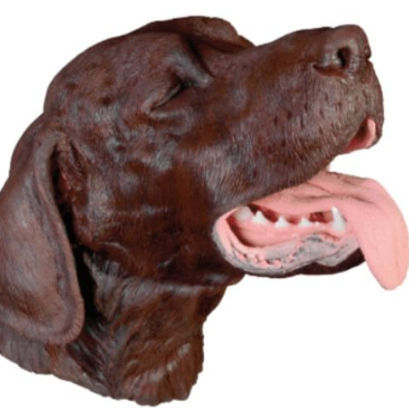 挿管シミュレーター - Veterinary Simulator Industries - 排出 / 口腔外科用 / 犬
