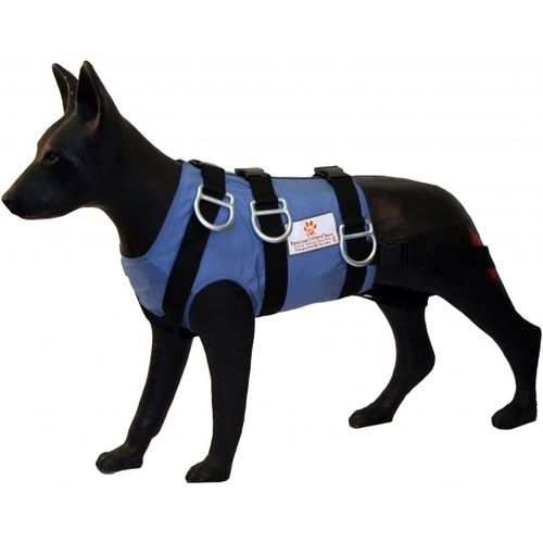 獣医用訓練用マネキン - FETCH - Rescue Critters - 応急処置用 / 犬