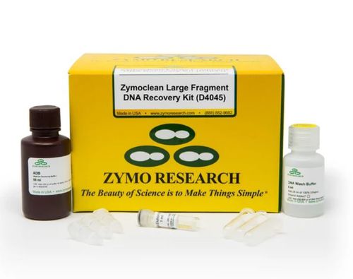 アガロースゲル試薬キット - Zymoclean - Zymo Research - PCR / 核酸