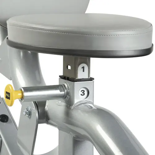 ディップスマシン Amazon.co.jp: syedee 座ったディップマシンプレートがロード