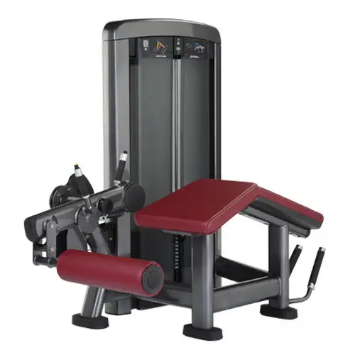 Life Fitness レッグエクステンション&カール 引き取り限定 長崎