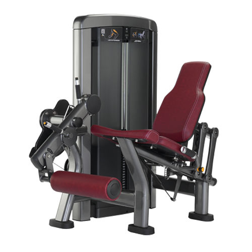 【引き取り限定/ライフ・フィットネスバック・エクステンション】 LifeFit（ライフフィット）｜24時間・年中無休の本格