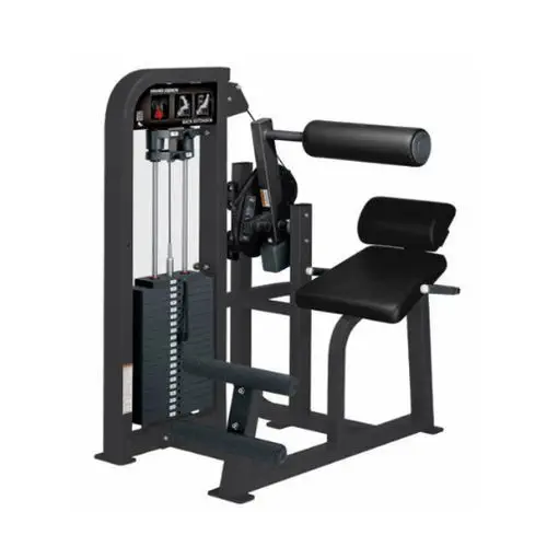 バックエクステンションマシン - HAMMER STRENGTH - Life Fitness