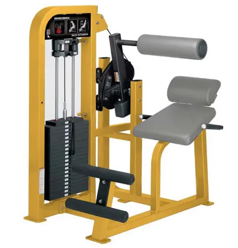バックエクステンションマシン - HAMMER STRENGTH - Life Fitness