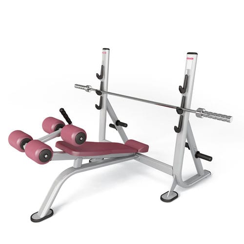 倒立型ウェイトトレーニングベンチ - FIT EVO 1fe206 - Panatta - ダンベルスタンド付
