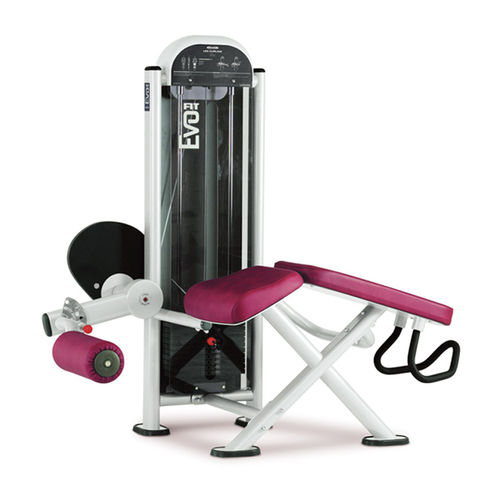 うつ伏せレッグカールマシン - FIT EVO 1FE082 - Panatta