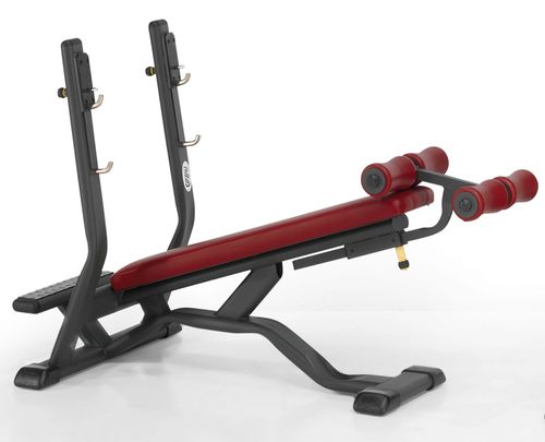 倒立型ウェイトトレーニングベンチ - 4SHO072/0 - Telju Fitness - ダンベルスタンド付