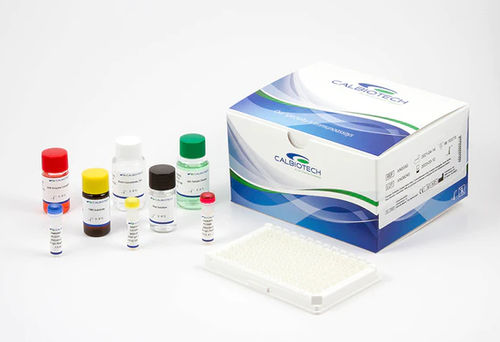 CMV試薬キット - CM027G - Calbiotech - 溶液 / 研究用 / IgG