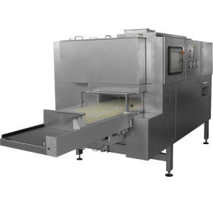 パイロジェン除去トンネル型 - 401 - Bausch Advanced Technologies - 衛生施設用 / 無菌 / 製薬産業用