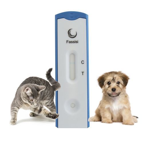 感染病用迅速検査キット - CORONA - Fassisi, Gesellschaft für Veterinärdiagnostik und Umweltanalysen mbH - 猫 / 犬 / コロナウィルス