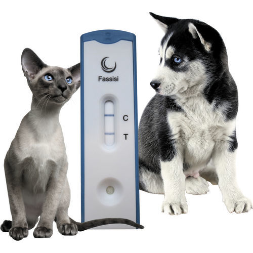 胃腸疾患迅速検査キット - GiarDia - Fassisi, Gesellschaft für Veterinärdiagnostik und Umweltanalysen mbH - 衛生 / 猫 / 犬