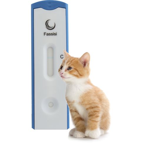 ネコ白血病迅速検査キット - Fassisi, Gesellschaft für Veterinärdiagnostik und Umweltanalysen mbH - 猫 / プロテイン / FeLV用