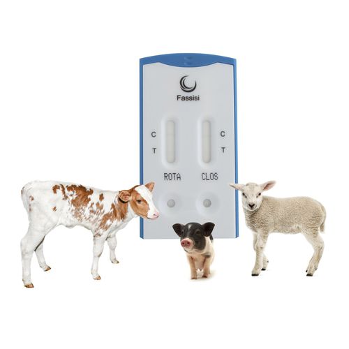 下痢迅速検査キット - PiDia light - Fassisi, Gesellschaft für Veterinärdiagnostik und Umweltanalysen mbH - 感染病用 / 子豚用 / ヤギ用