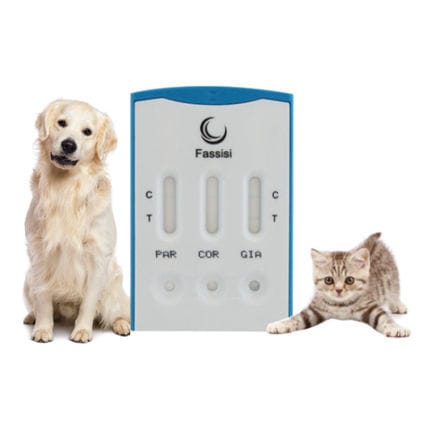 感染病用迅速検査キット - TRIPLE - Fassisi, Gesellschaft für Veterinärdiagnostik und Umweltanalysen mbH - 猫 / 犬 / ウイルス