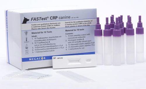炎症疾患迅速検査キット - FASTest® CRP - MEGACOR Diagnostik - 犬 / C反応性蛋白 / 血清